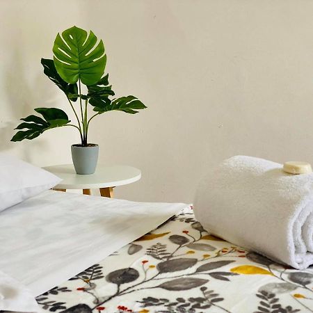 Casa Del Centro Bed & Breakfast Morelia Luaran gambar