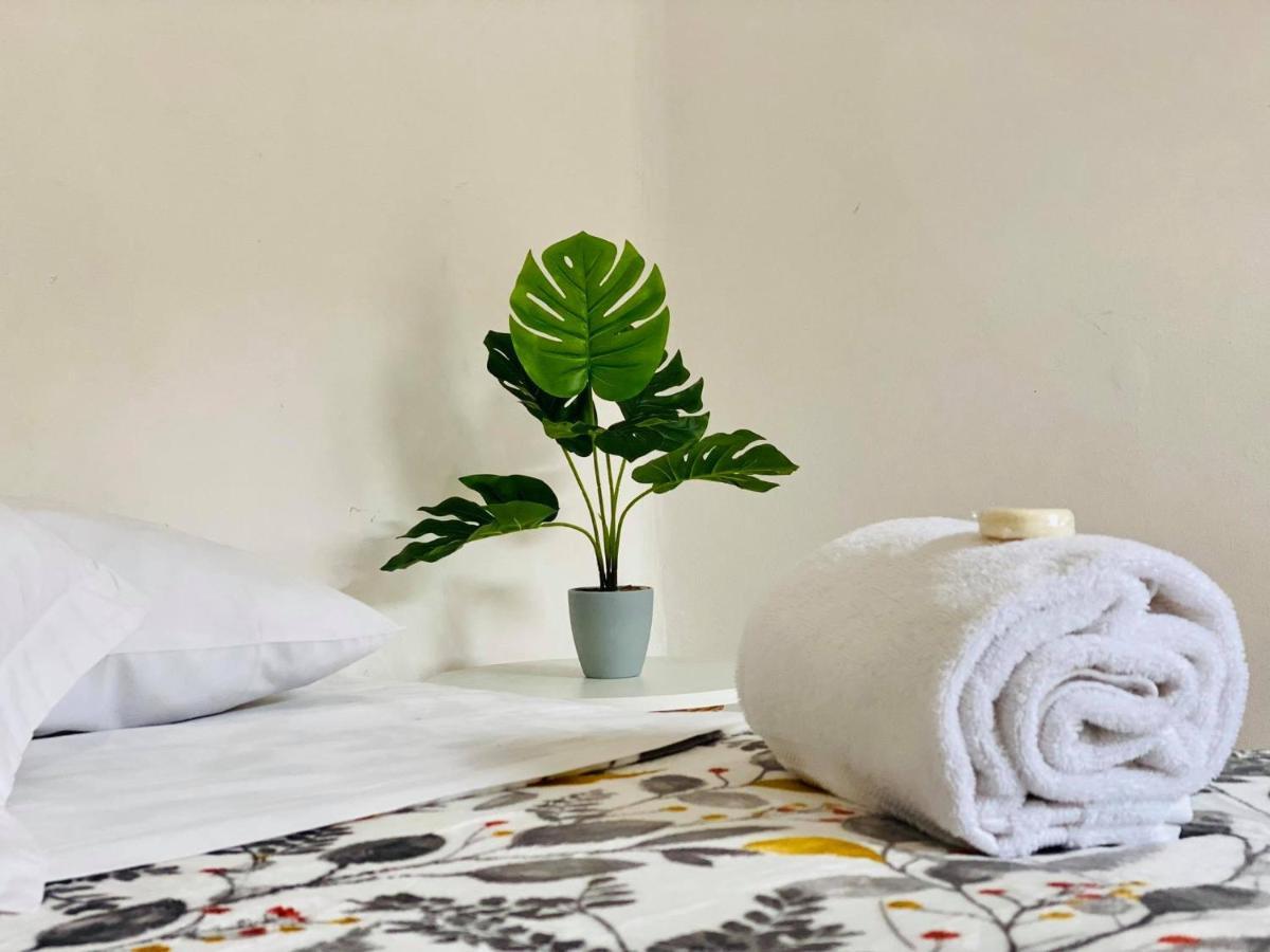 Casa Del Centro Bed & Breakfast Morelia Luaran gambar